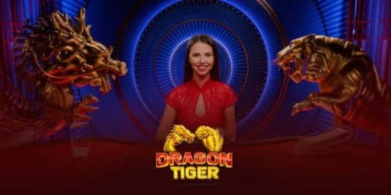 Rồng Hổ - Chiến Thuật Cược Khôn Ngoan Tại Sảnh Live MIG8 Rồng hổ sử dụng bộ bài Tây quen thuộc