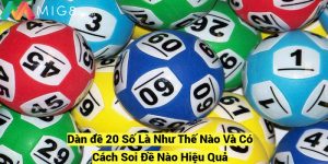 Dan de 20 So La Nhu The Nao Va Co Cach Soi De Nao Hieu Qua fotor 2024120920416