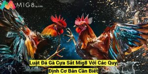 Luat Da Ga Cua Sat Mig8 Voi Cac Quy Dinh Co Ban Can Biet fotor 20241209204217