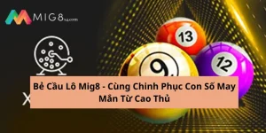 be cau lo mig8