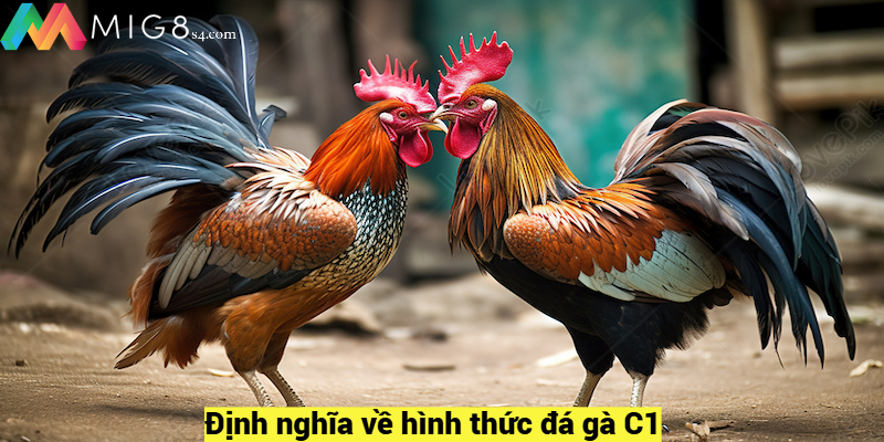 Đá Gà C1 – Chia Sẻ Bí Quyết Chọi Gà Bất Bại Từ Các Cao Thủ Định nghĩa về hình thức đá gà C1