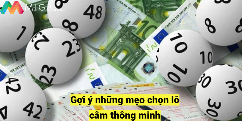 Lô Câm Là Gì? Cách Chinh Phục Đỉnh Cao Chơi Đề Tại Mig8 Gợi ý những mẹo chọn lô câm thông minh
